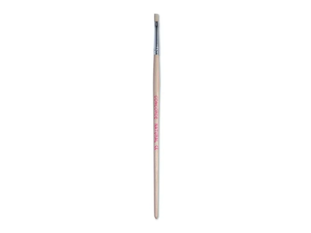 Must-Have Štětec plochý Concorde č.2