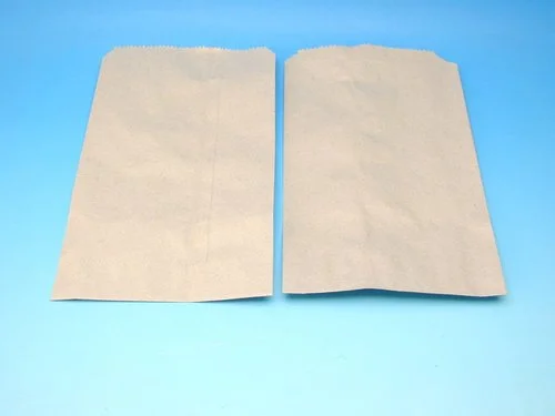 Sáčky ploché 1,0 kg 17 x 30 cm Jen Po Omezenou Doba