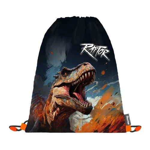 Omezená Nabídka Sáček na cvičky Dino