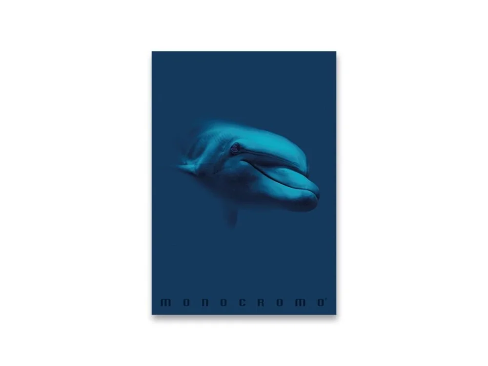 Autentický Školní sešit Monocromo Blue - A4, linkovaný, 40 listů, mix motivů
